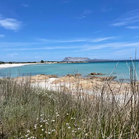 Sea View House San Teodoro *